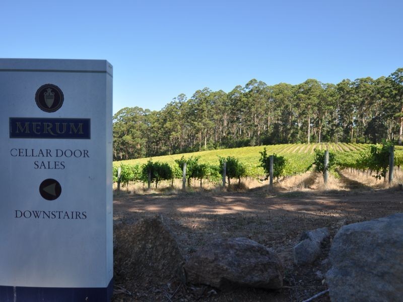 89 Charlie Road (‘Merum Vineyard’), Pemberton WA 6260