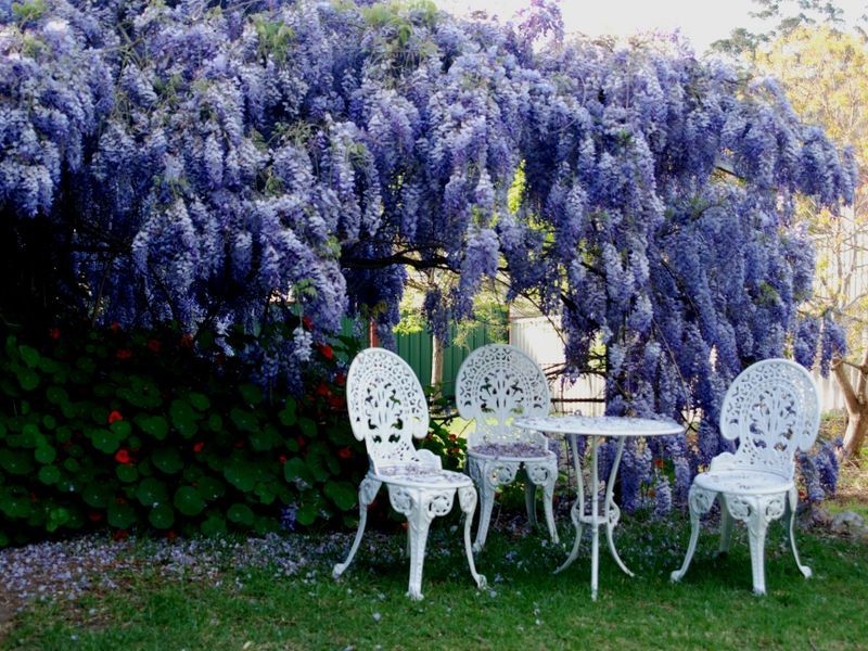 2 Ellis Street, Pemberton WA 6260