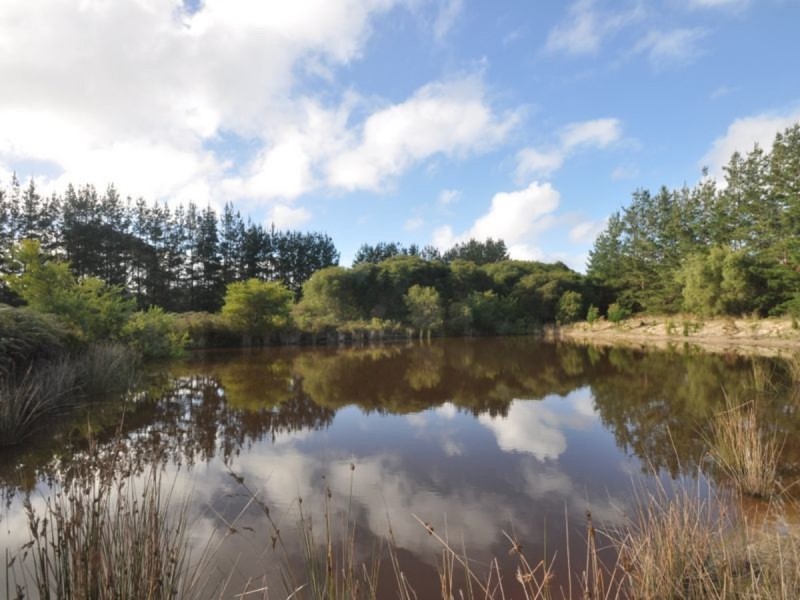 Lot 34 Browns Road, Pemberton WA 6260