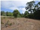 Proposed L Charlie Road, Northcliffe WA 6262