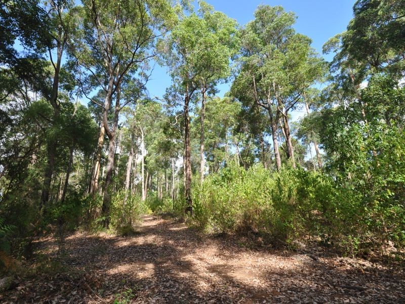 Proposed L Charlie Road, Northcliffe WA 6262