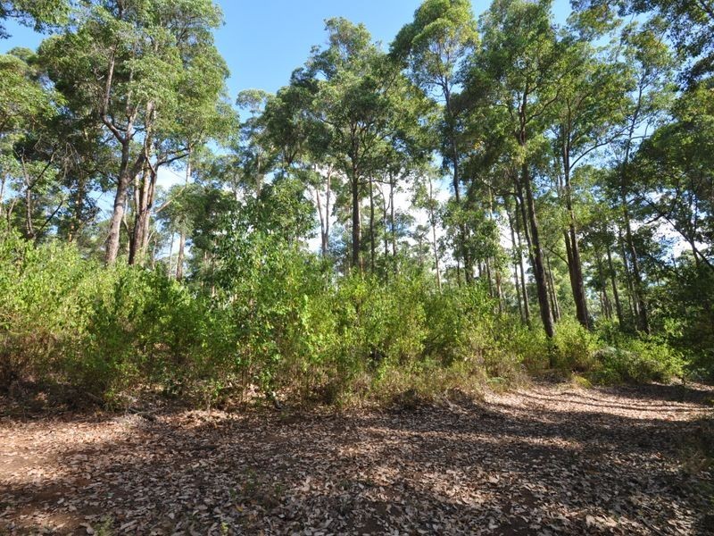 Proposed L Charlie Road, Northcliffe WA 6262