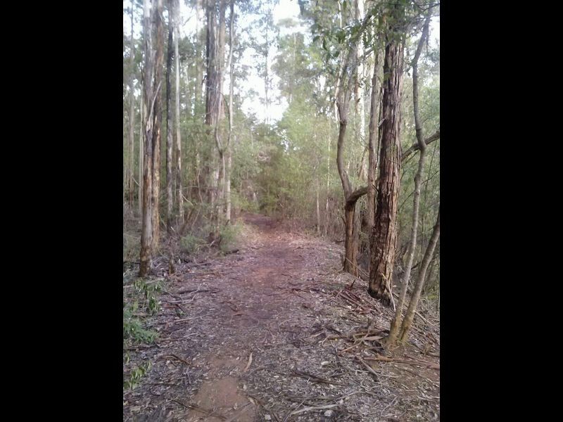 Lot 88 Karri Lane, Quinninup WA 6258