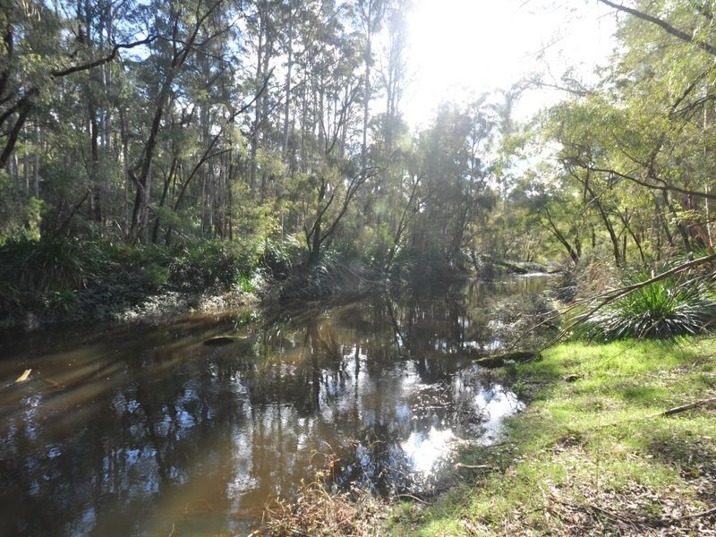 379 Wetherall Road (Quinninup), Pemberton WA 6260