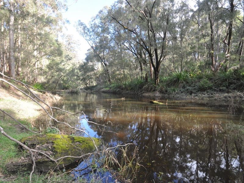 379 Wetherall Road (Quinninup), Pemberton WA 6260