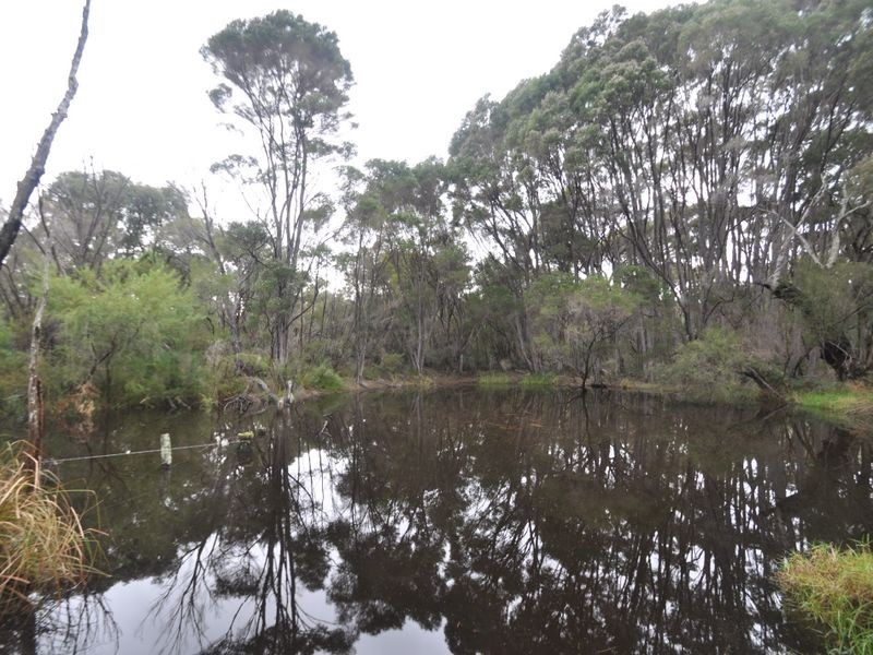 2 Windy Harbour Road, Northcliffe WA 6262