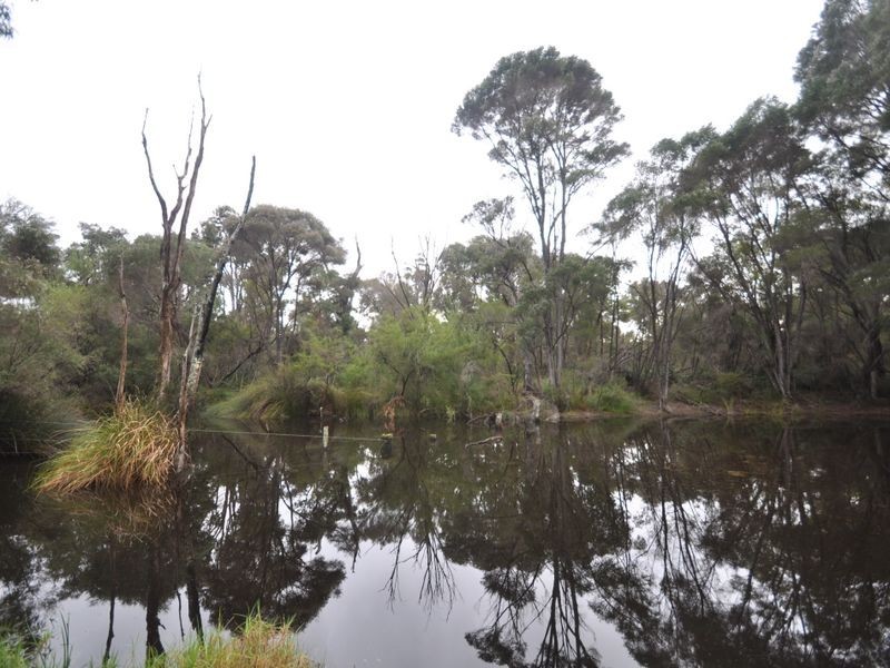 2 Windy Harbour Road, Northcliffe WA 6262