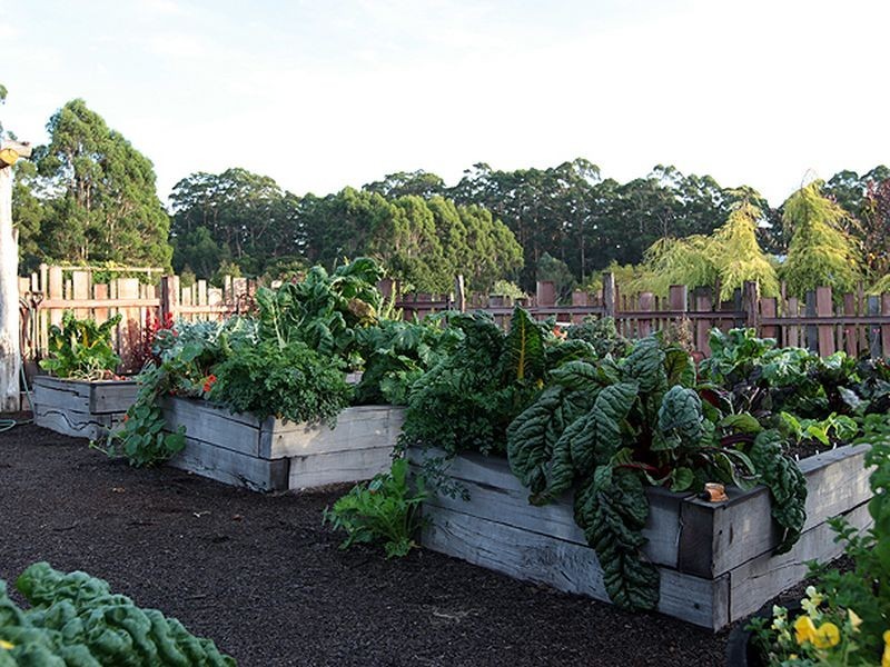 489 Stirling Rd, Pemberton WA 6260