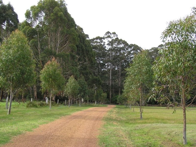 489 Stirling Rd, Pemberton WA 6260