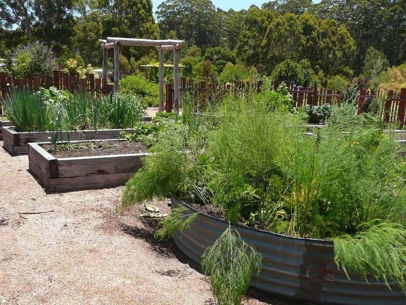 489 Stirling Rd, Pemberton WA 6260