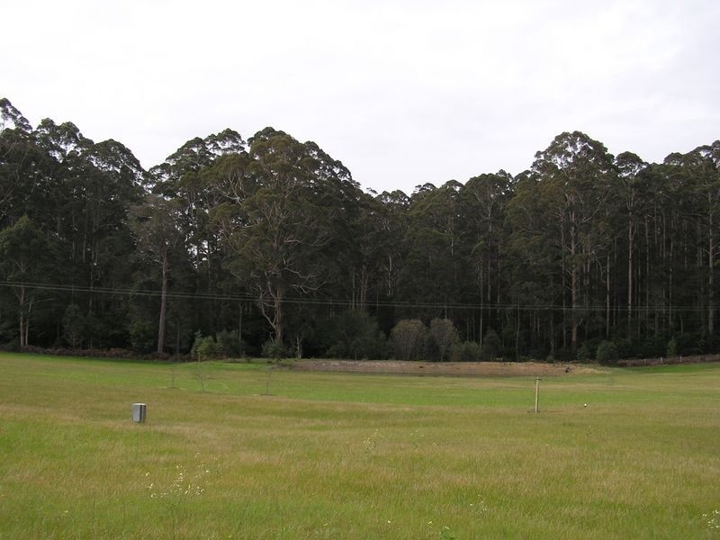 489 Stirling Rd, Pemberton WA 6260