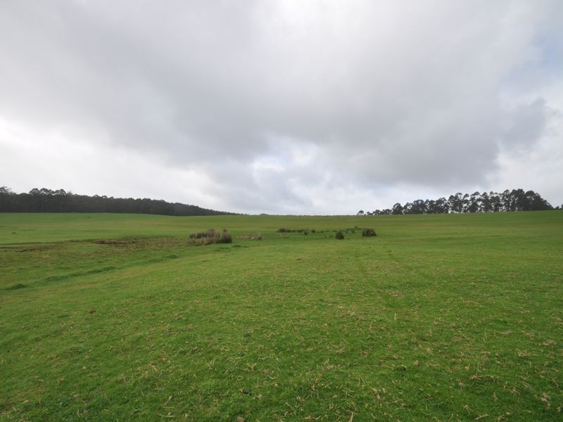 Lot 4 Glauders Road, Pemberton WA 6260