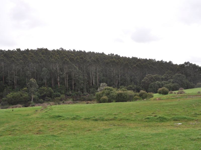 Lot 4 Glauders Road, Pemberton WA 6260