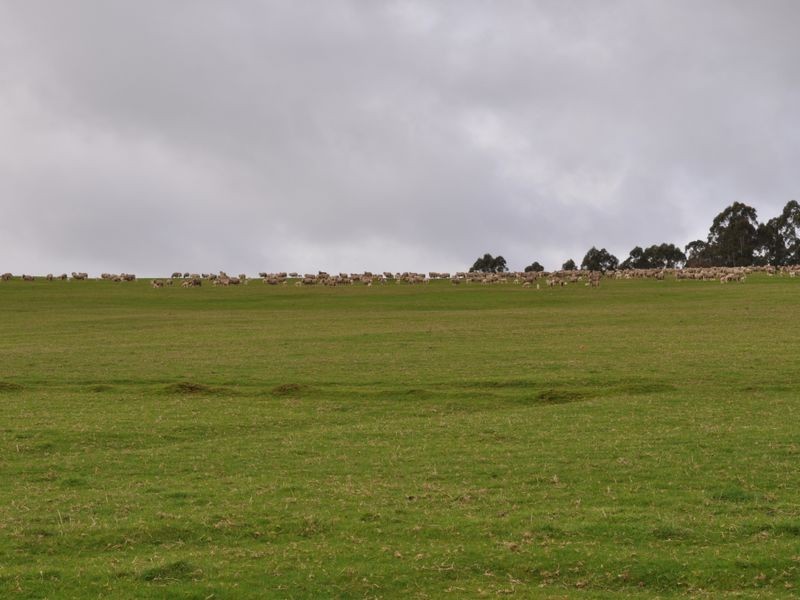 Lot 4 Glauders Road, Pemberton WA 6260