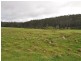Lot 4 Glauders Road, Pemberton WA 6260