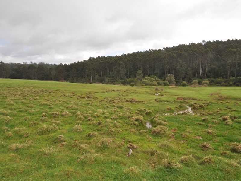 Lot 4 Glauders Road, Pemberton WA 6260