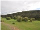 Lot 4 Glauders Road, Pemberton WA 6260