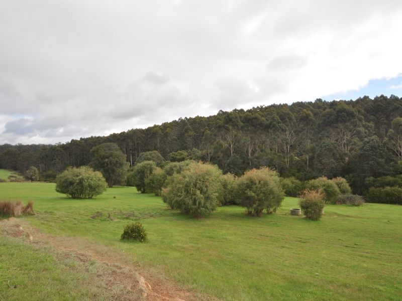 Lot 4 Glauders Road, Pemberton WA 6260