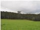 Lot 4 Glauders Road, Pemberton WA 6260