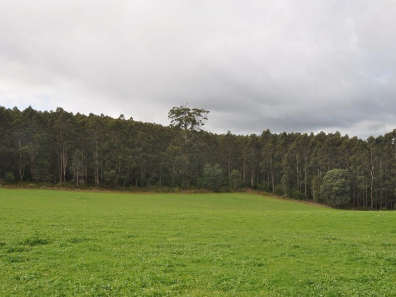 Lot 4 Glauders Road, Pemberton WA 6260