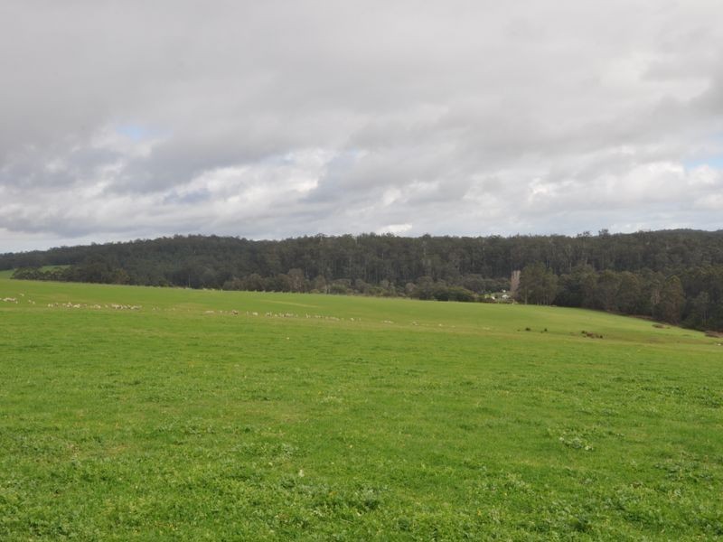 Lot 4 Glauders Road, Pemberton WA 6260