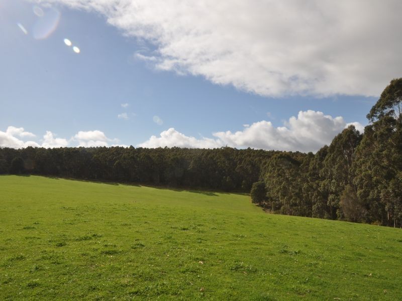 Lot 4 Glauders Road, Pemberton WA 6260