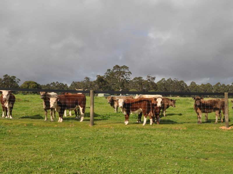 Lot 4 Glauders Road, Pemberton WA 6260