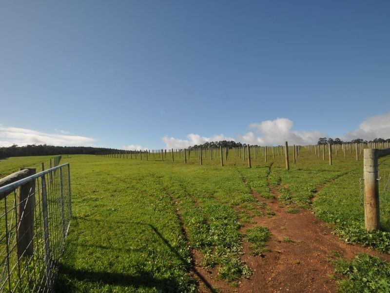 Lot 4 Glauders Road, Pemberton WA 6260