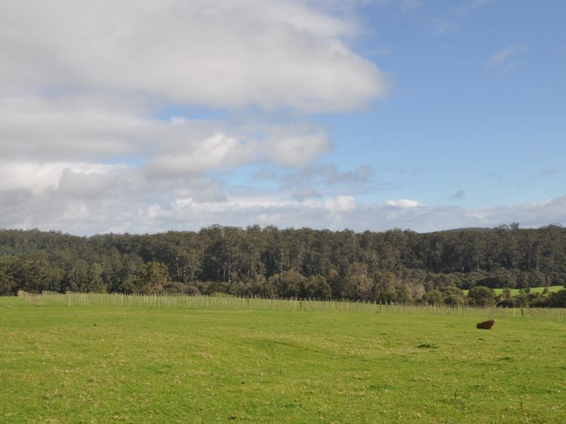 Lot 4 Glauders Road, Pemberton WA 6260