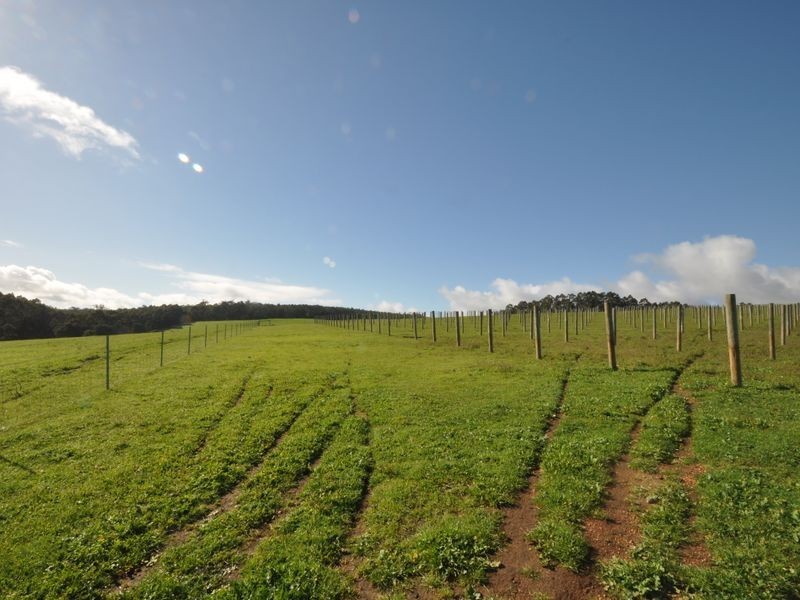 Lot 4 Glauders Road, Pemberton WA 6260