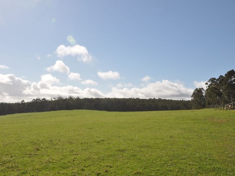 Lot 4 Glauders Road, Pemberton WA 6260