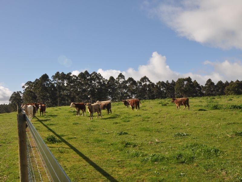 Lot 4 Glauders Road, Pemberton WA 6260