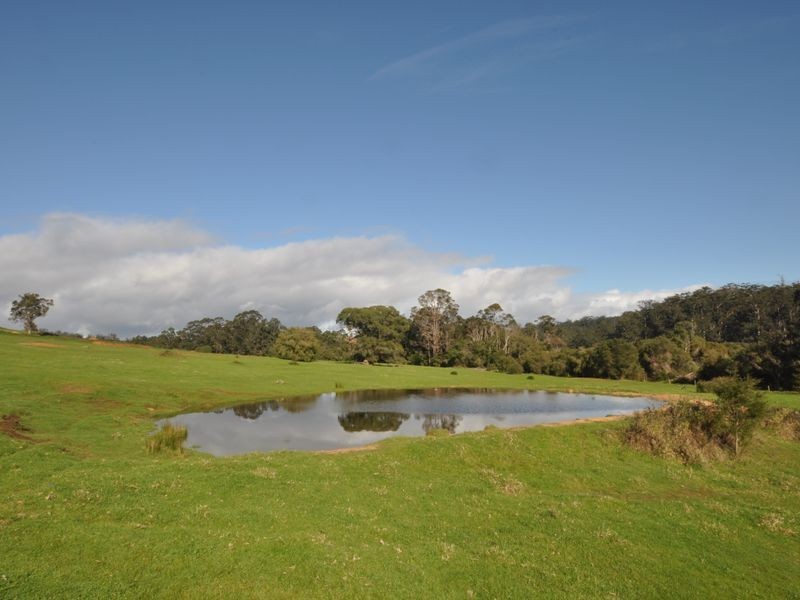 Lot 4 Glauders Road, Pemberton WA 6260