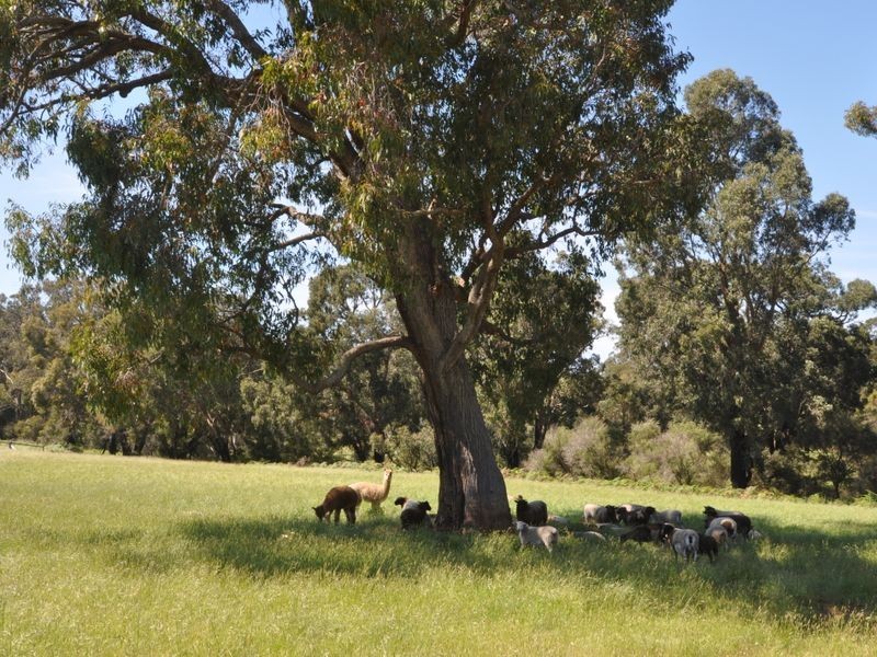 111 Double Bridges Road, Northcliffe WA 6262