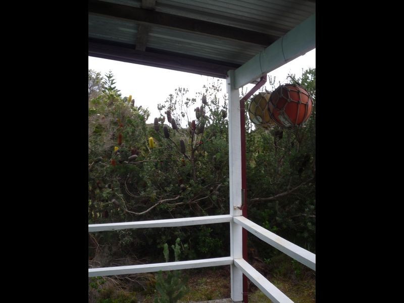 278 Evans Loop, Northcliffe WA 6262