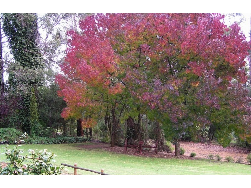 13626 Vasse Highway, Pemberton WA 6260