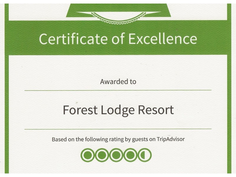 13626 Vasse Highway, Pemberton WA 6260