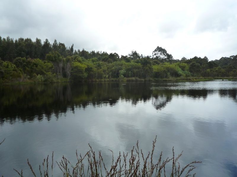 76 Kens Road, Northcliffe WA 6262