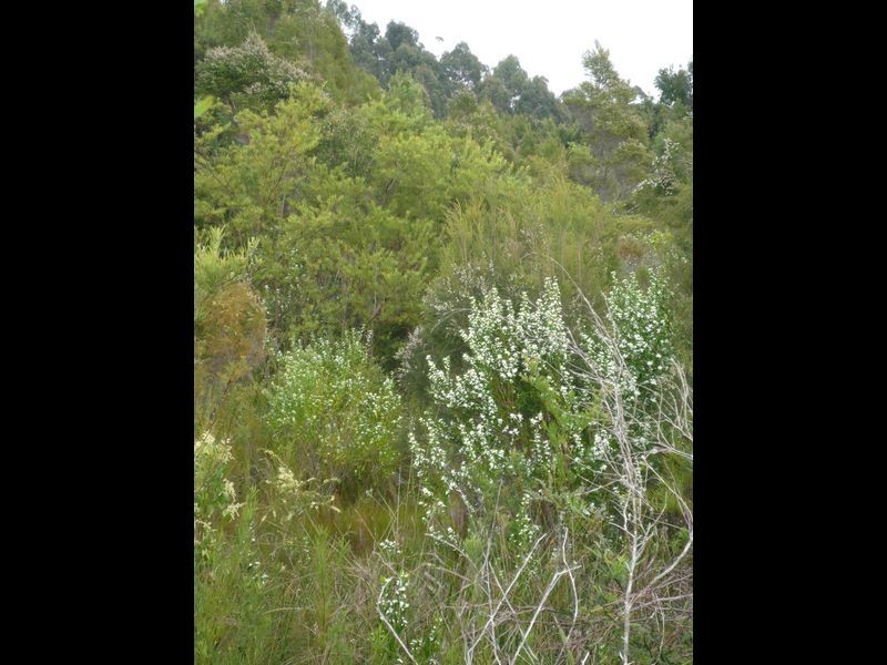 76 Kens Road, Northcliffe WA 6262