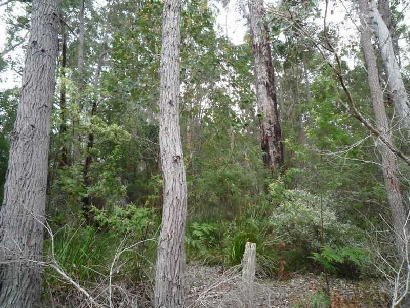 76 Kens Road, Northcliffe WA 6262