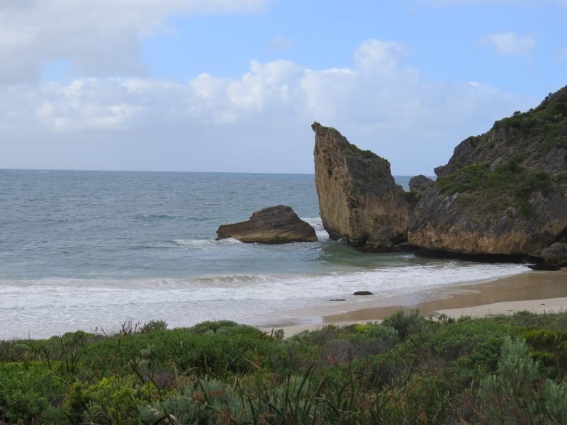 19 Mitchell Way, Northcliffe WA 6262