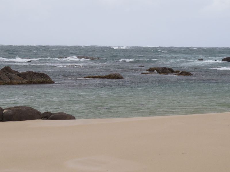 19 Mitchell Way, Northcliffe WA 6262