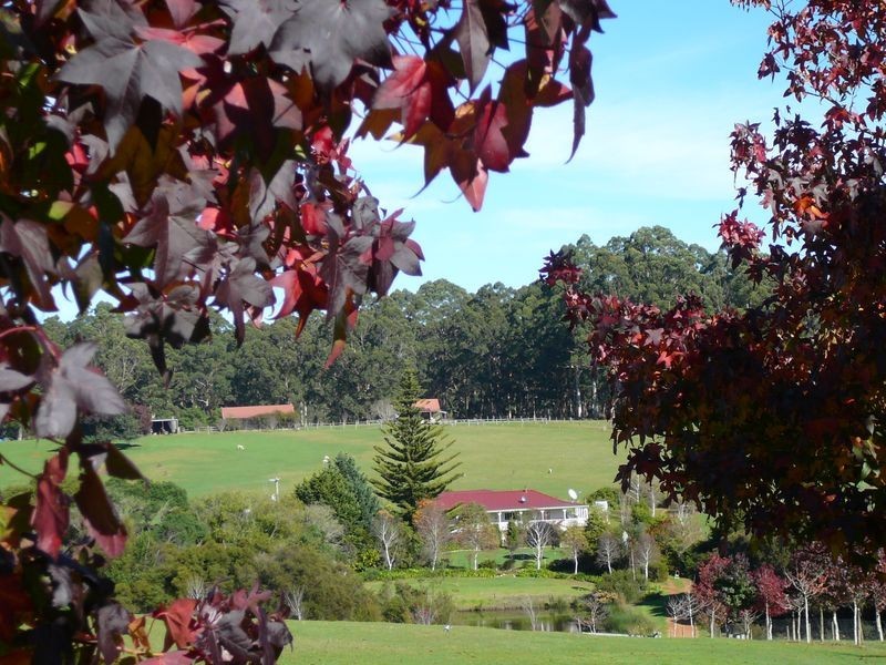 341 Green Road, Pemberton WA 6260