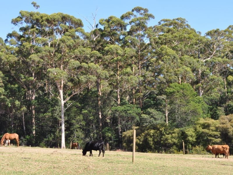 341 Green Road, Pemberton WA 6260