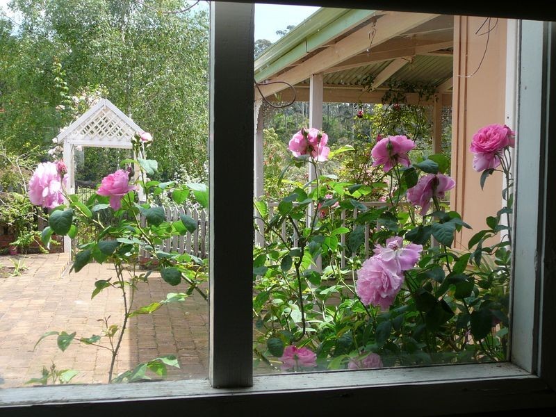 341 Green Road, Pemberton WA 6260