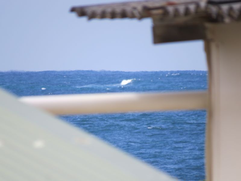 108 Windy Harbour, Northcliffe WA 6262