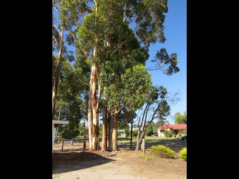 19 North Street, Northcliffe WA 6262