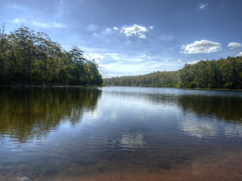 Lot 122 Karri Lane, Quinninup WA 6258