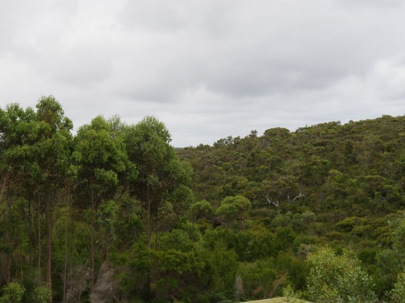 286 Evans Loop, Northcliffe WA 6262