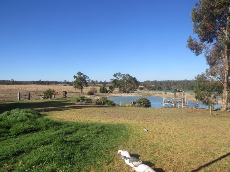 2 Chestnut Grove, Manjimup WA 6258